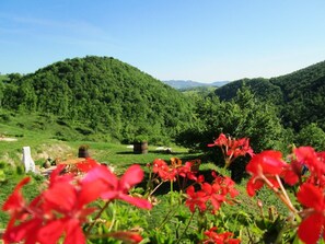 Comfort Cottage, 2 Bedrooms | View from property