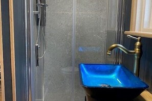 Shower, towels, toilet paper