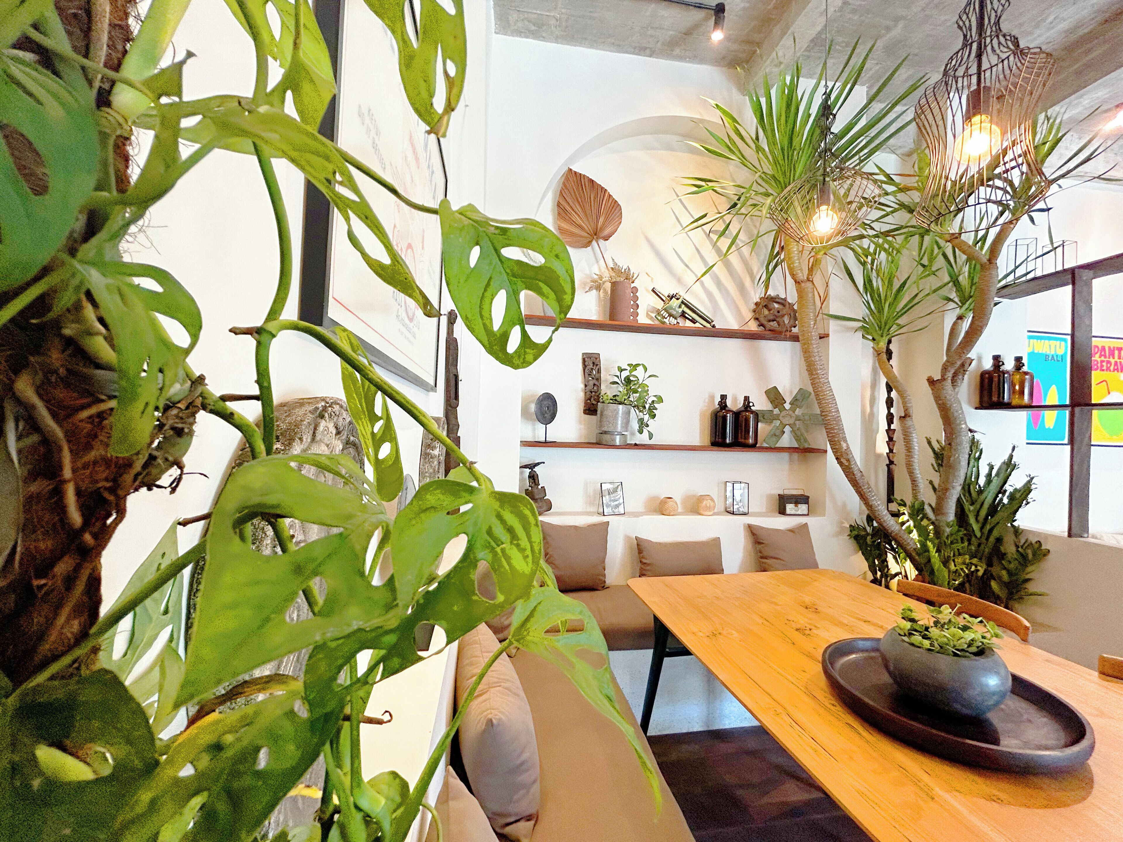 A modern interior with a wooden dining table, green plants, and a hanging light fixture.