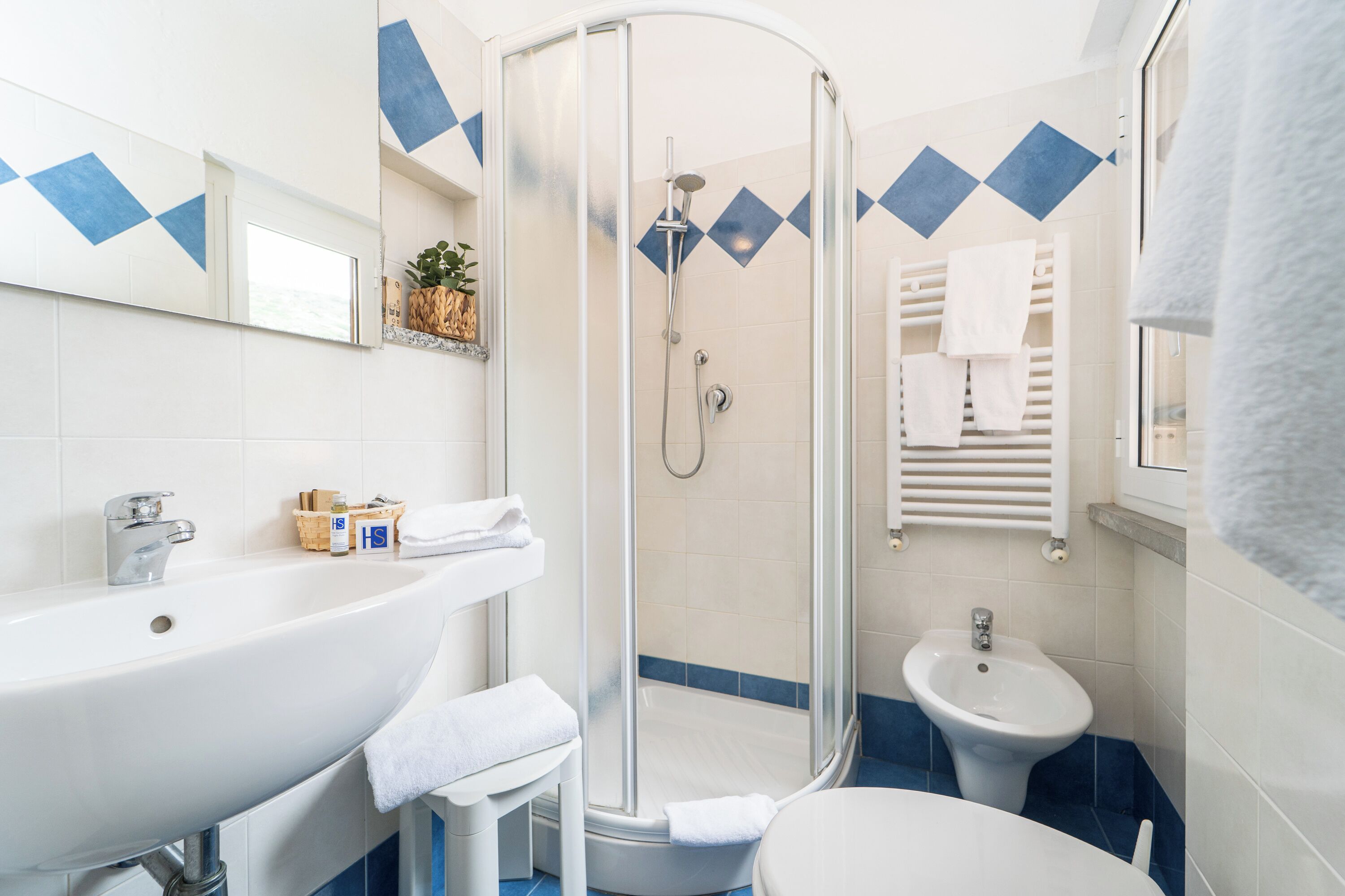 Un baño con ducha, lavabo y bidé.