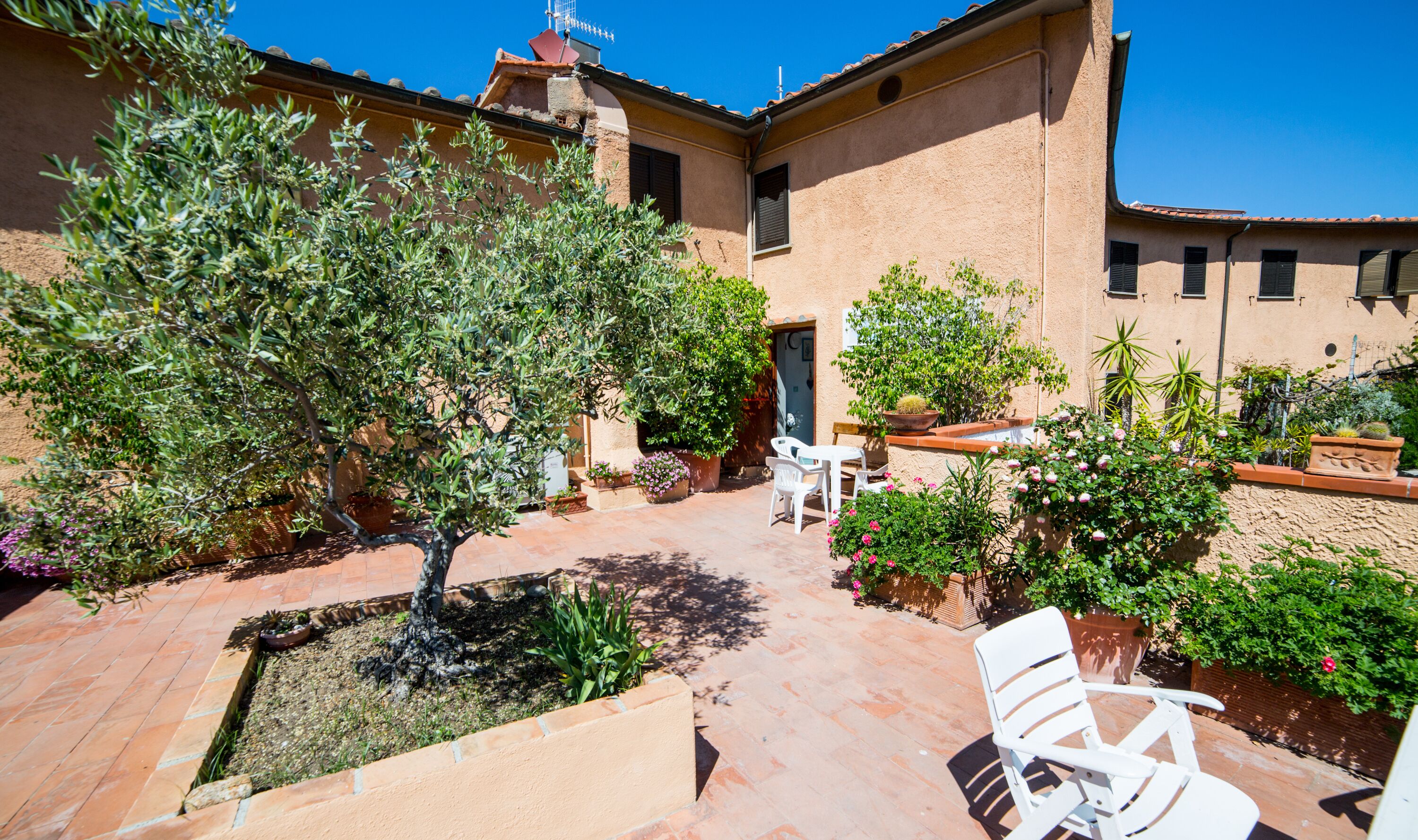 A courtyard with a tree, potted plants, and outdoor furniture.
