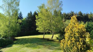 Eine grüne Wiese mit Bäumen und blauem Himmel.