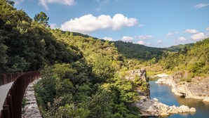 Eine Steinbrücke über einem Fluss, umgeben von dichtem Wald und Hügeln.