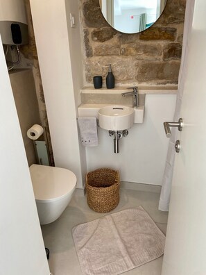 Douche, séchoir à cheveux, serviettes fournies, savon