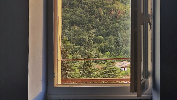Ein Fenster mit Blick auf einen bewaldeten Hang.