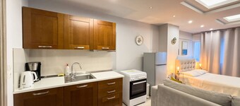 Glamorous & Spacious Renovated Apartment, Syntagma