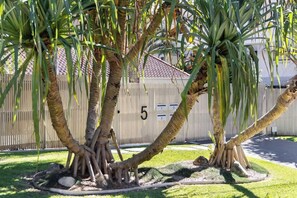 Jardines del alojamiento