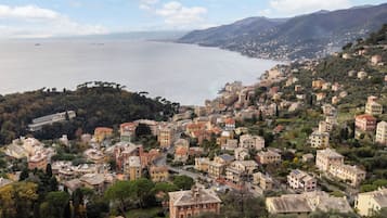 Vista aérea