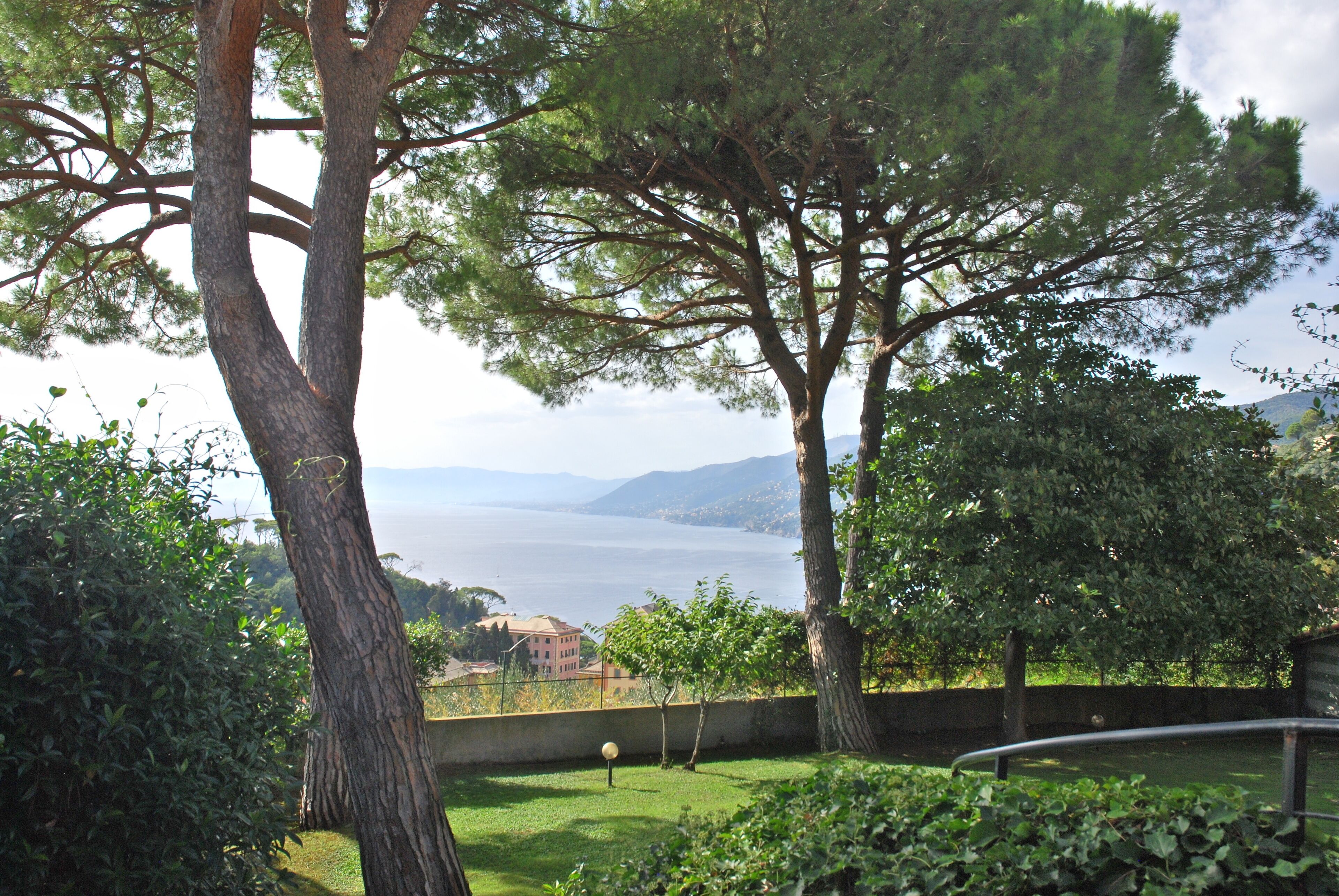 A view of a lake with trees and a building in the background.