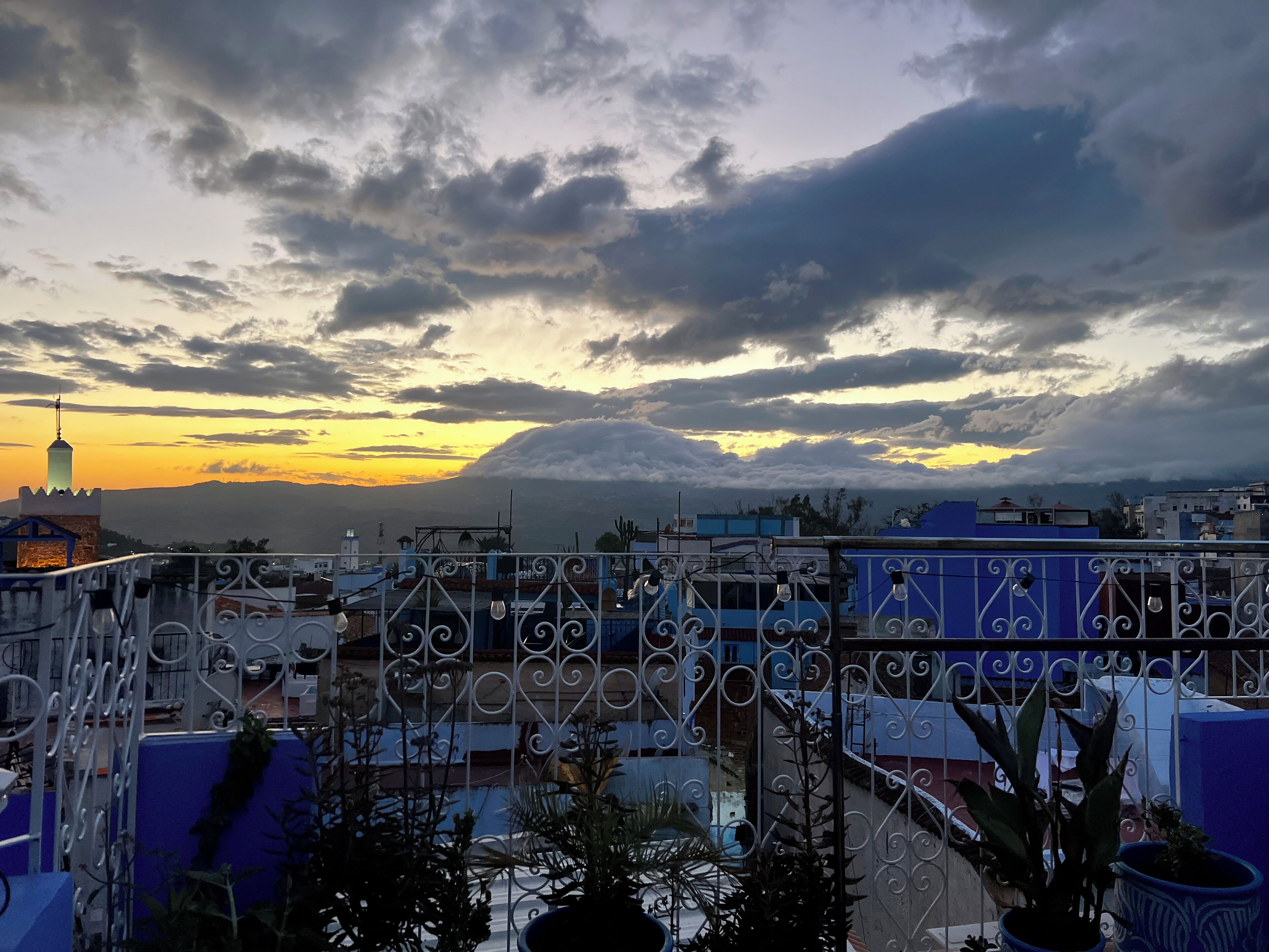 A rooftop with metal railings and potted plants, overlooking a cityscape with buildings and a mountain in the distance.