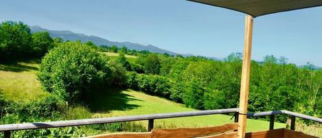 المنطقة المحيطة بالمنشأة