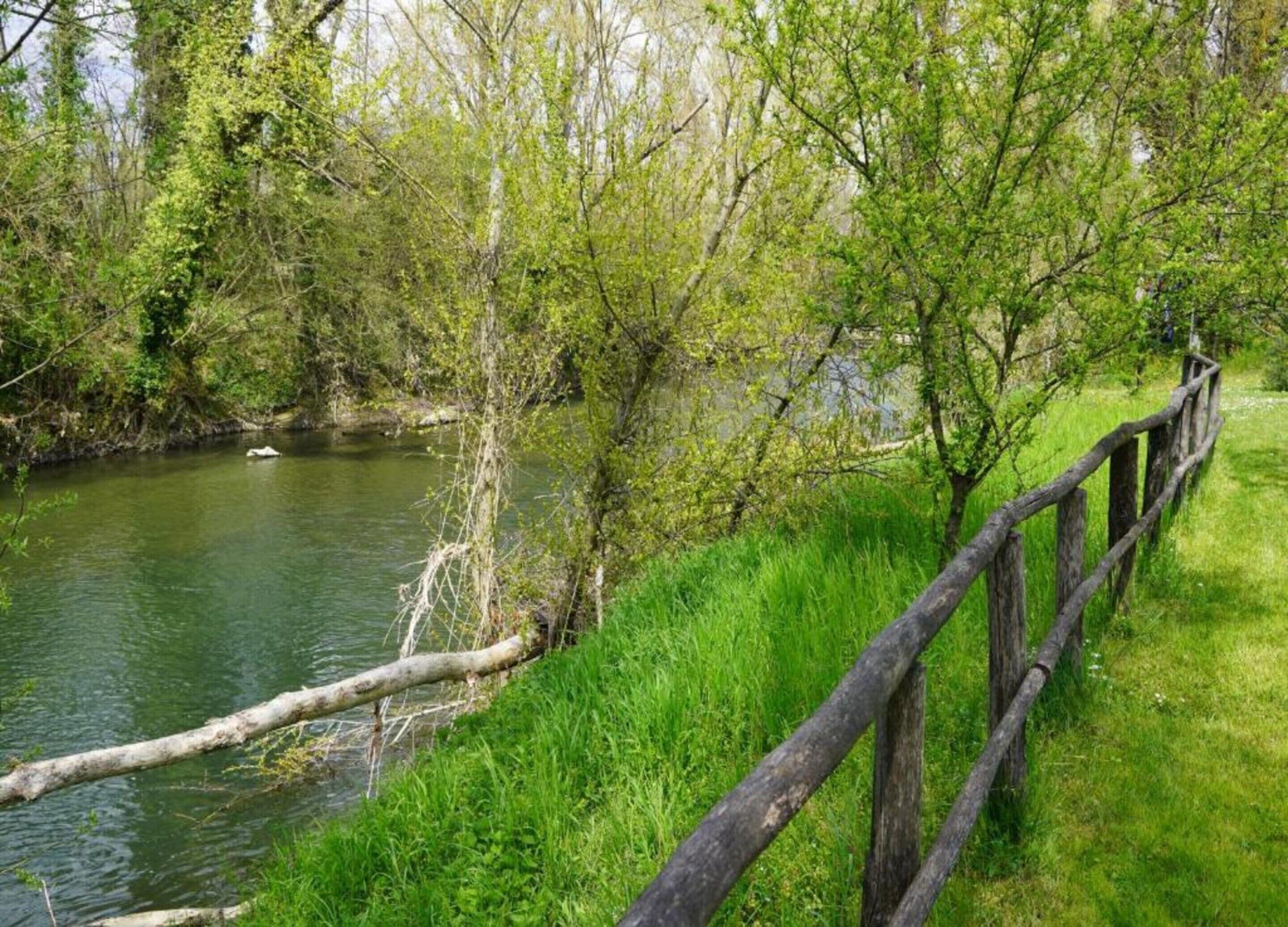A river with a wooden fence along the bank, surrounded by lush greenery and trees.