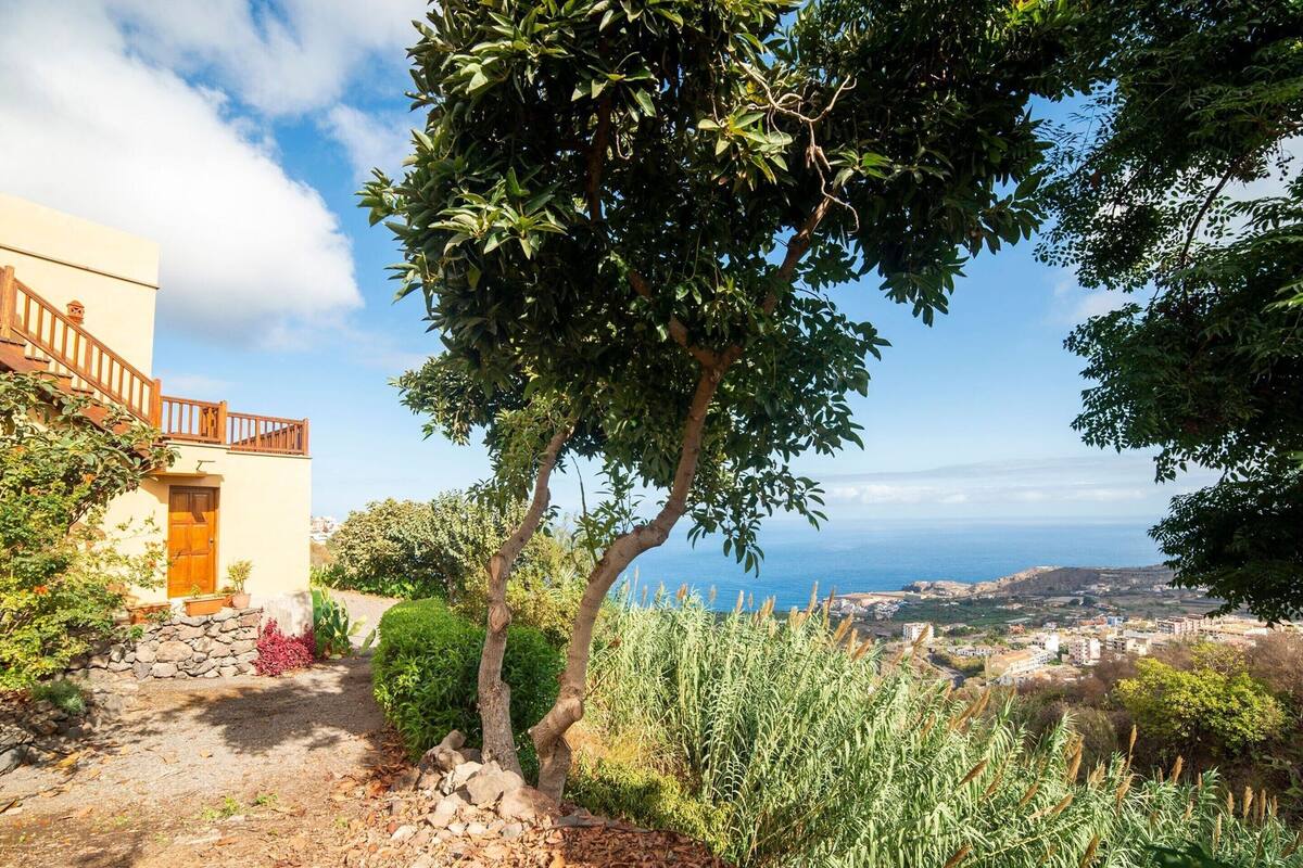 Classic House, 1 Bedroom | Reception