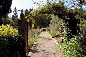 Comfort Apartment, 2 Bedrooms | Garden