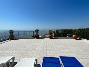Terras