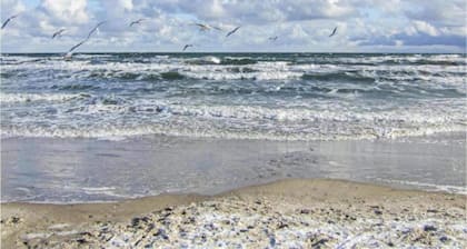 Modern Holiday Home in Brusow With Roofed Terrace