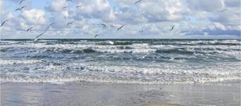 モダン ホリデーホーム イン ブルソウ ウィズ ルーフドテラス