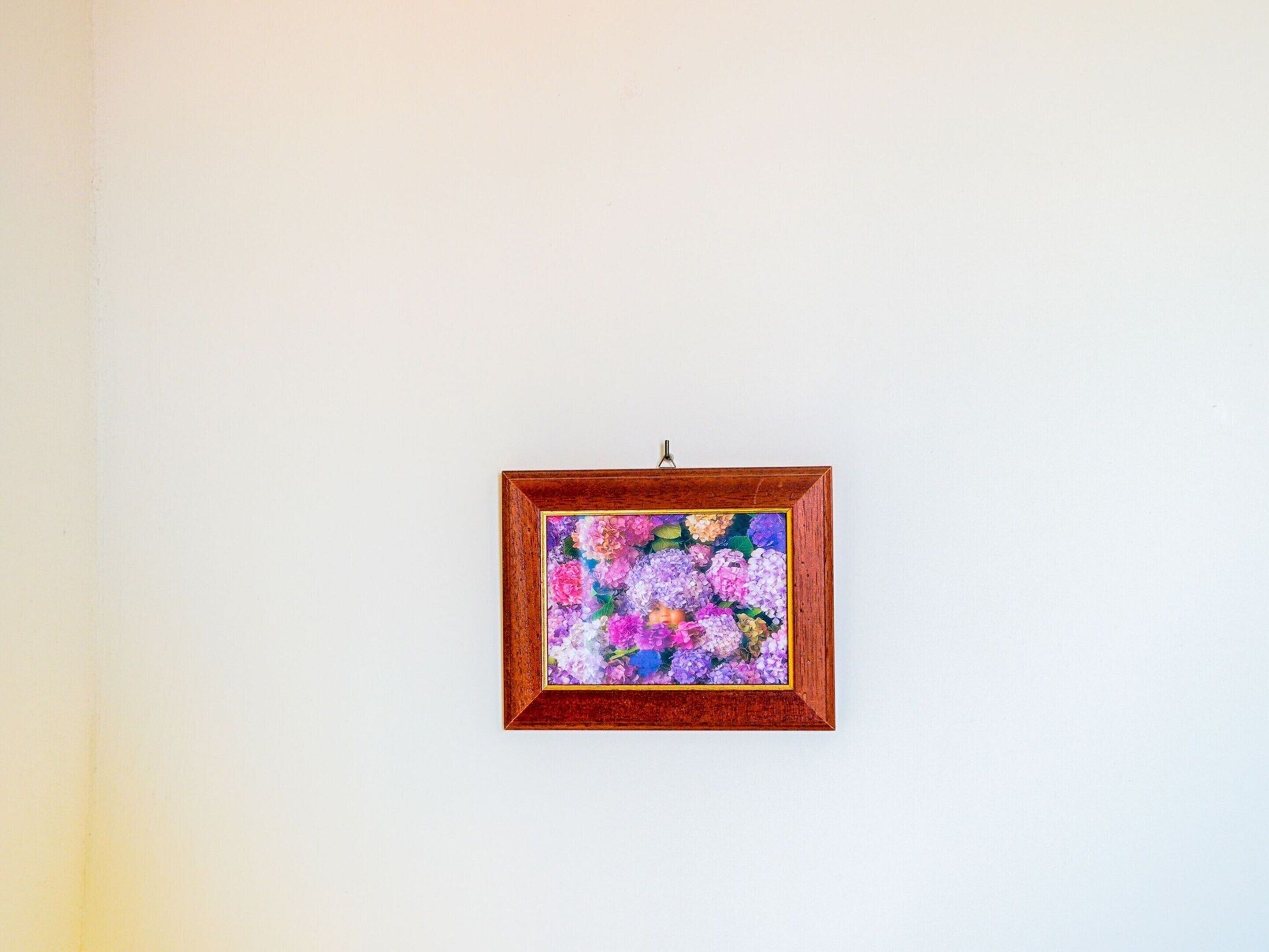 Una obra de arte enmarco con un estampado floral sobre una pared blanca.