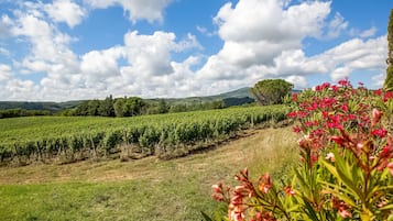 Comfort-Haus, 1 Schlafzimmer | Blick von der Unterkunft