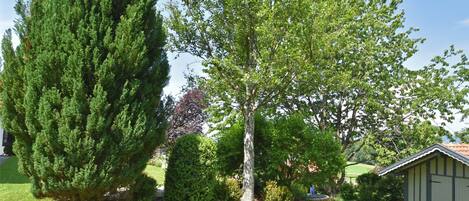 Appartement Confort, 2 chambres | Jardin