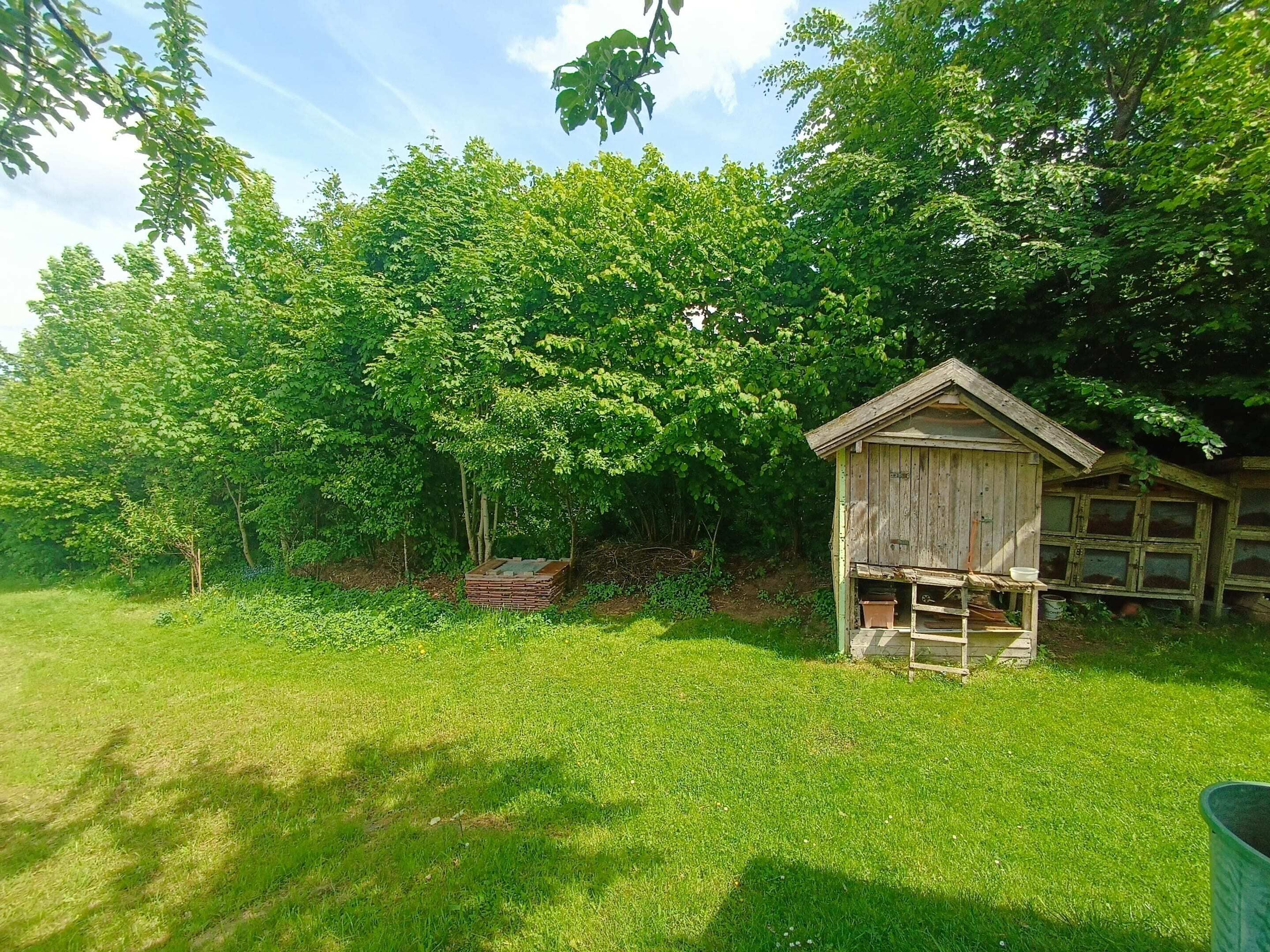 A wooden structure with a ladder, surrounded by lush green grass and trees.