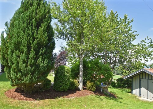 Schone Wohnung im Bayerischen Wald