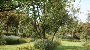 A well-maintained garden with a variety of plants and trees, a grassy lawn, and a clear pathway.