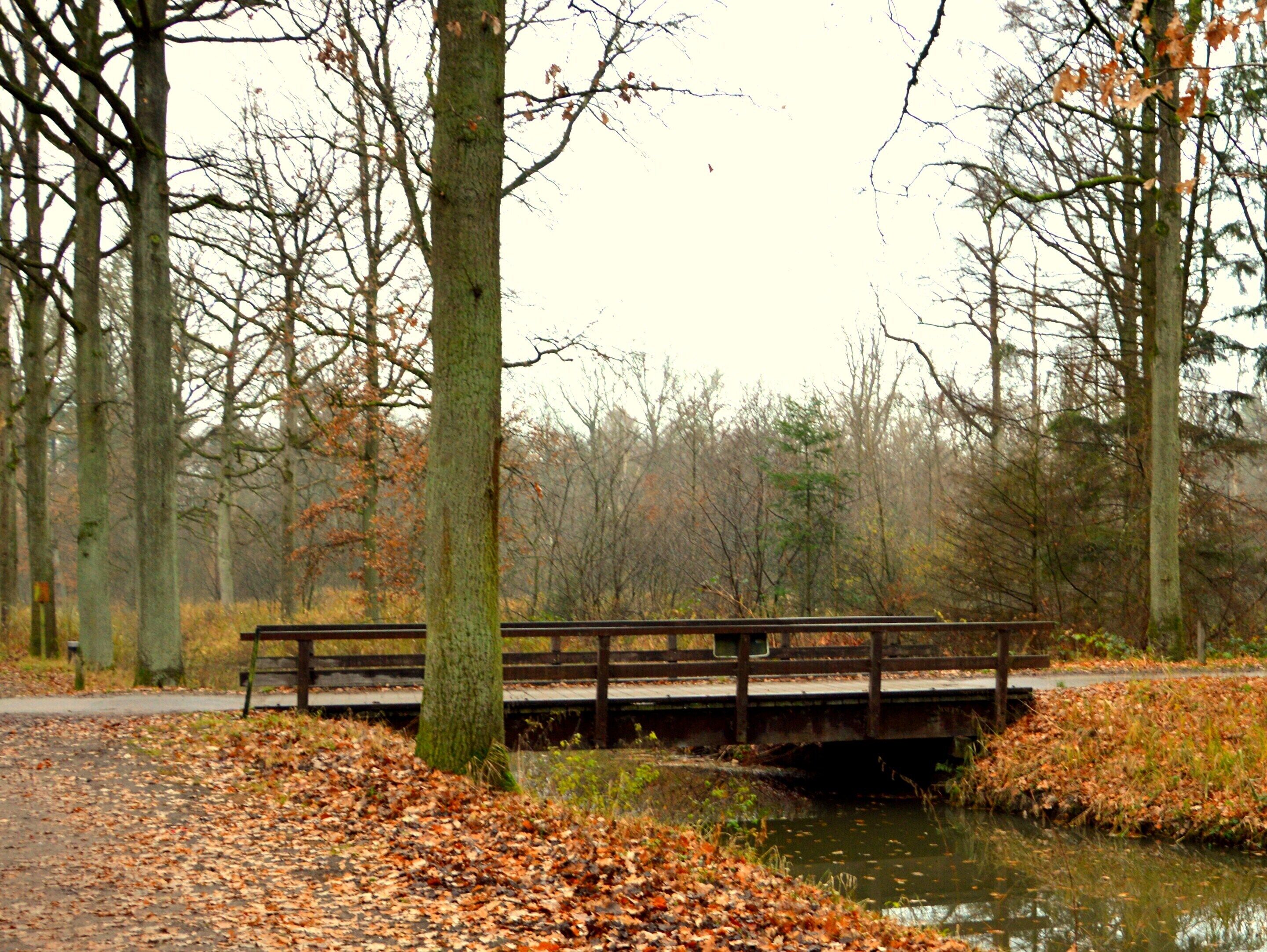 A wooden bridge over a calm river in a wooded area.