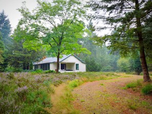 A white cabin with a porch, surrounded by dense forest and a gravel path. - Cosy Holiday Home in Maarheeze With Verandah (Maarheeze)