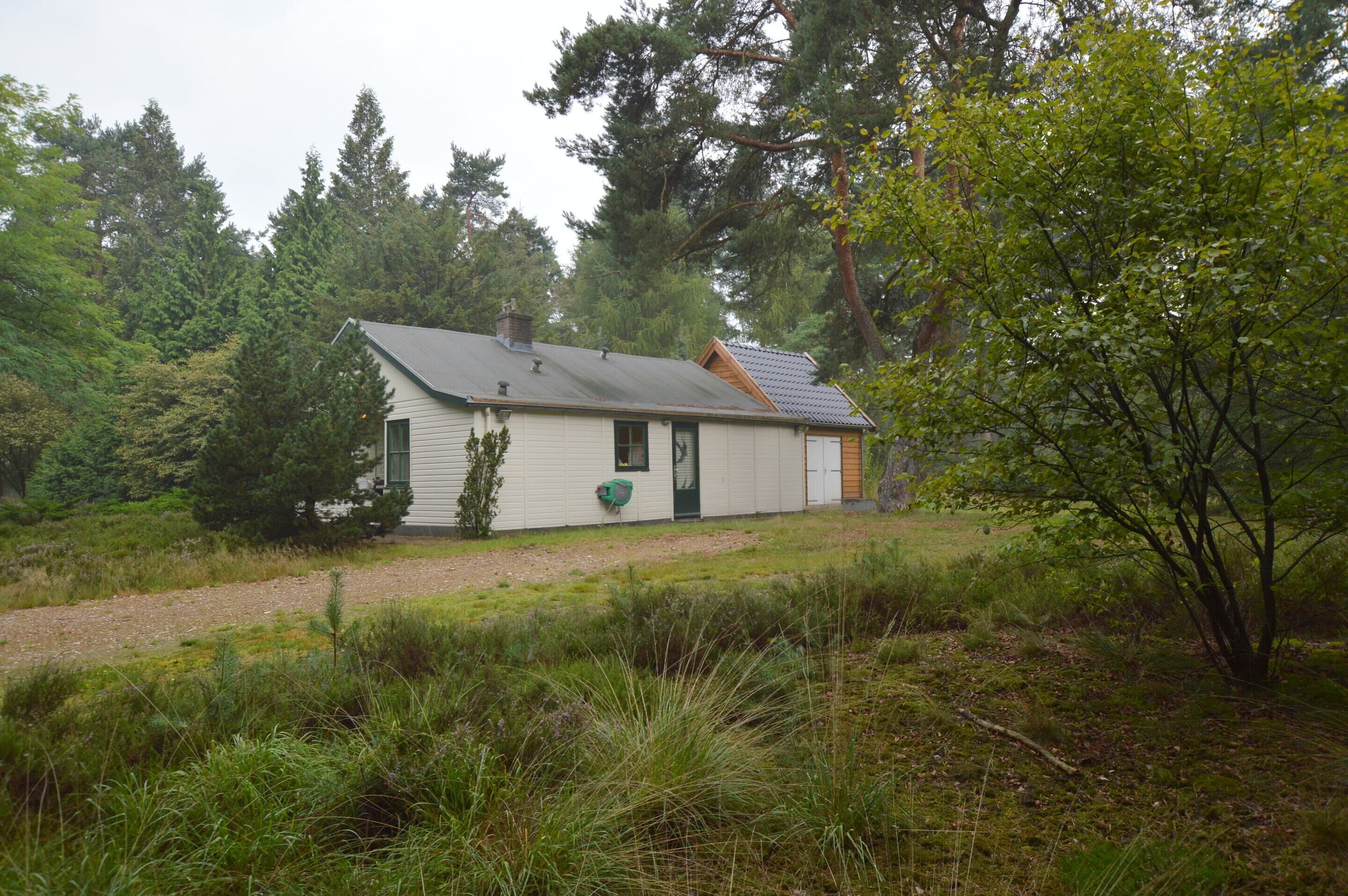 A small, single-story house with a sloped roof, surrounded by dense forest and a gravel path leading to the front door.