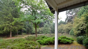 A covered outdoor area with a paved walkway, surrounded by dense greenery and trees.