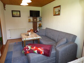 Living room - Peaceful Apartment in Lichtenhain With Private Terrace (Sebnitz)