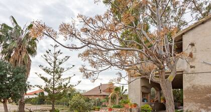 Nature Hideaway in Deltebre for Families