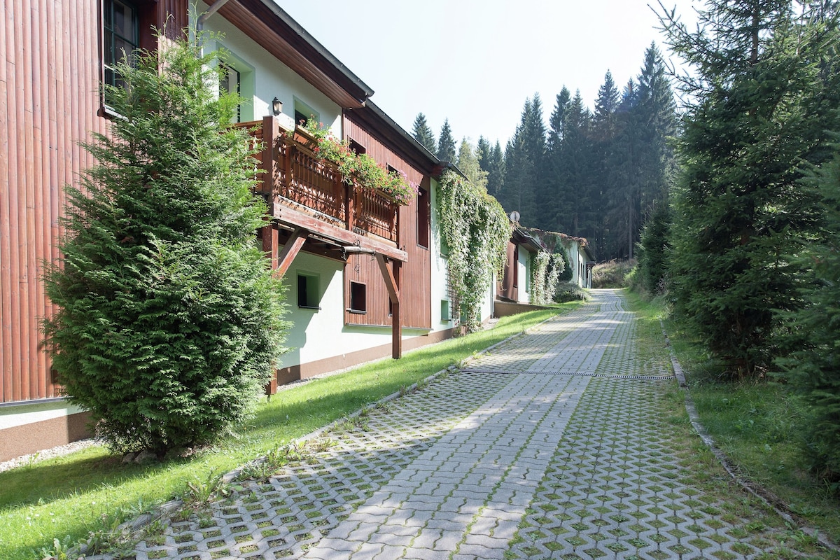 Comfort Apartment, Multiple Bedrooms | Reception