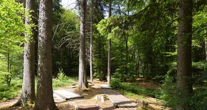 Lovely Holiday Home in Stipshausen With Terrace