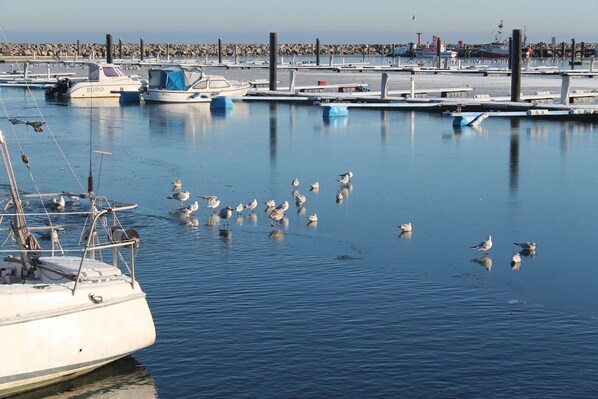 Comfort-Apartment, 2 Schlafzimmer | Blick von der Unterkunft