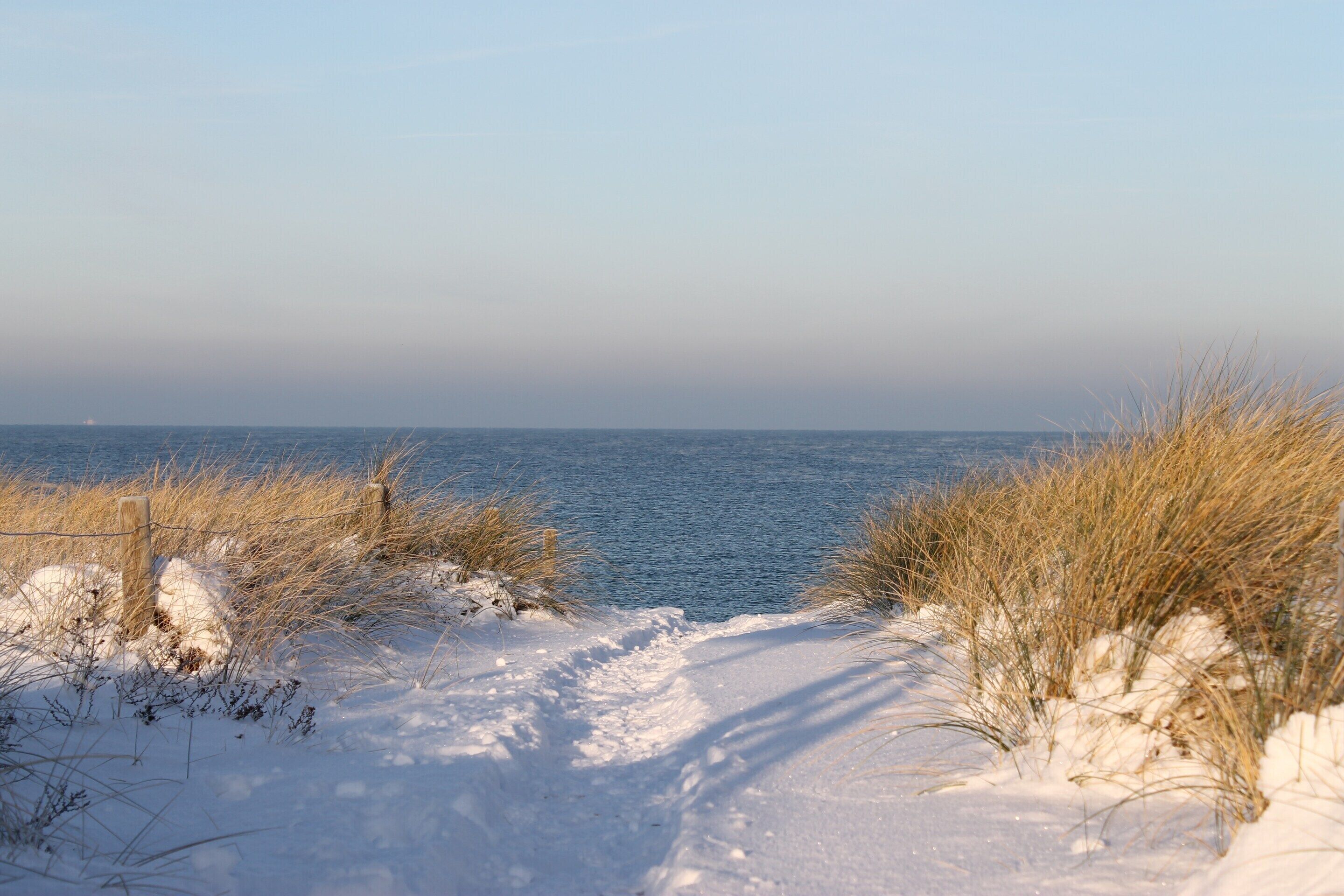 A snow-covered path leading to a body of water, with tall grasses on either side.