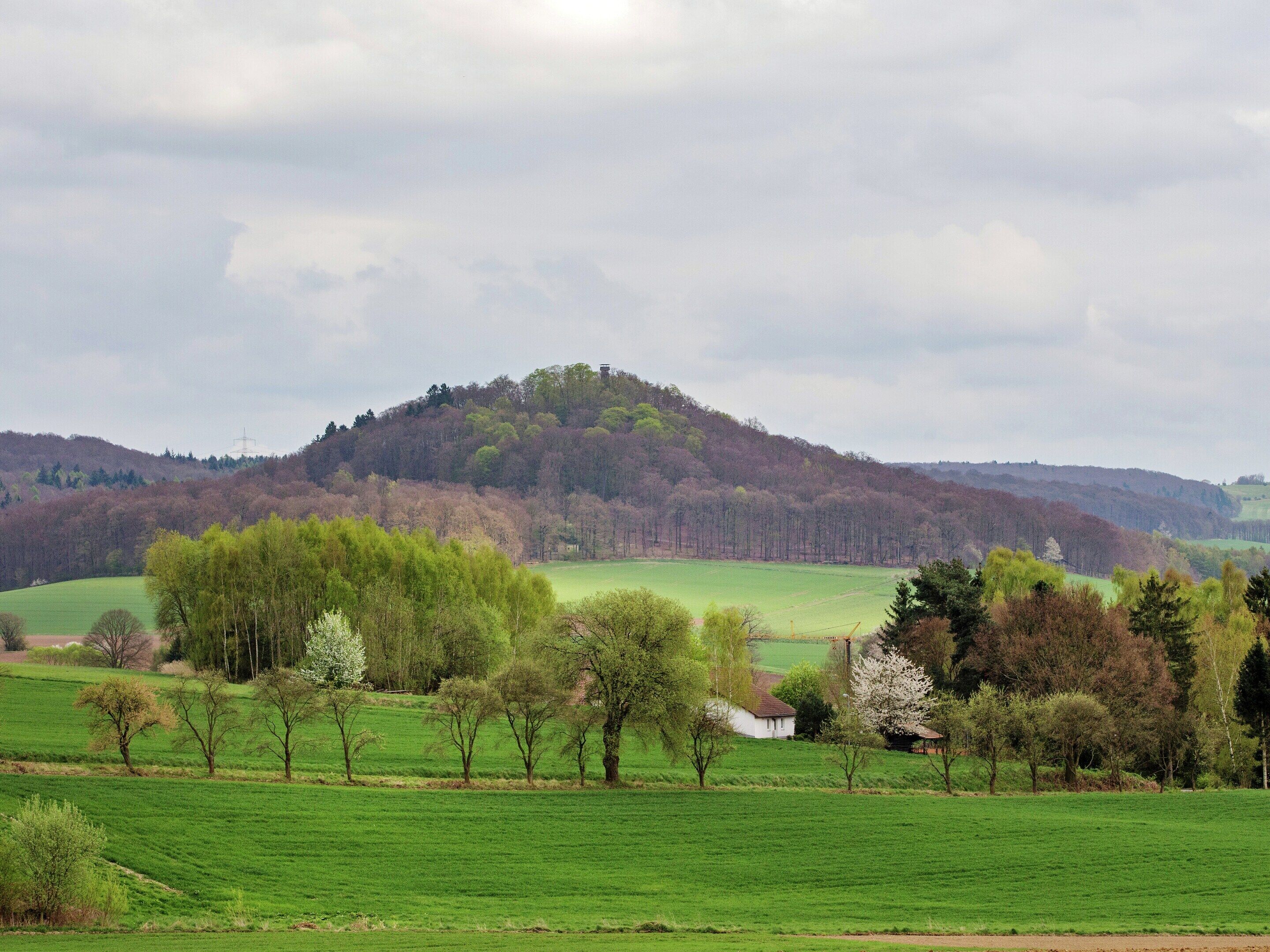 Paisaje rural con una colina, campos verdes y árboles dispersos.