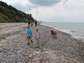 View from property - Modernly Furnished Holiday Home Near the Beach (Rostock)