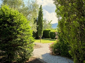 Jardim