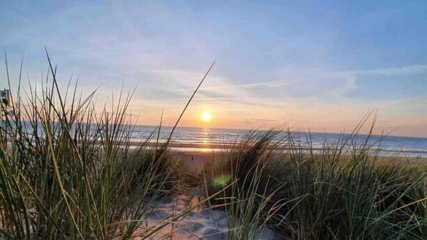 Ein Strandweg, der zum Meer führt, mit hohem Gras im Vordergrund.