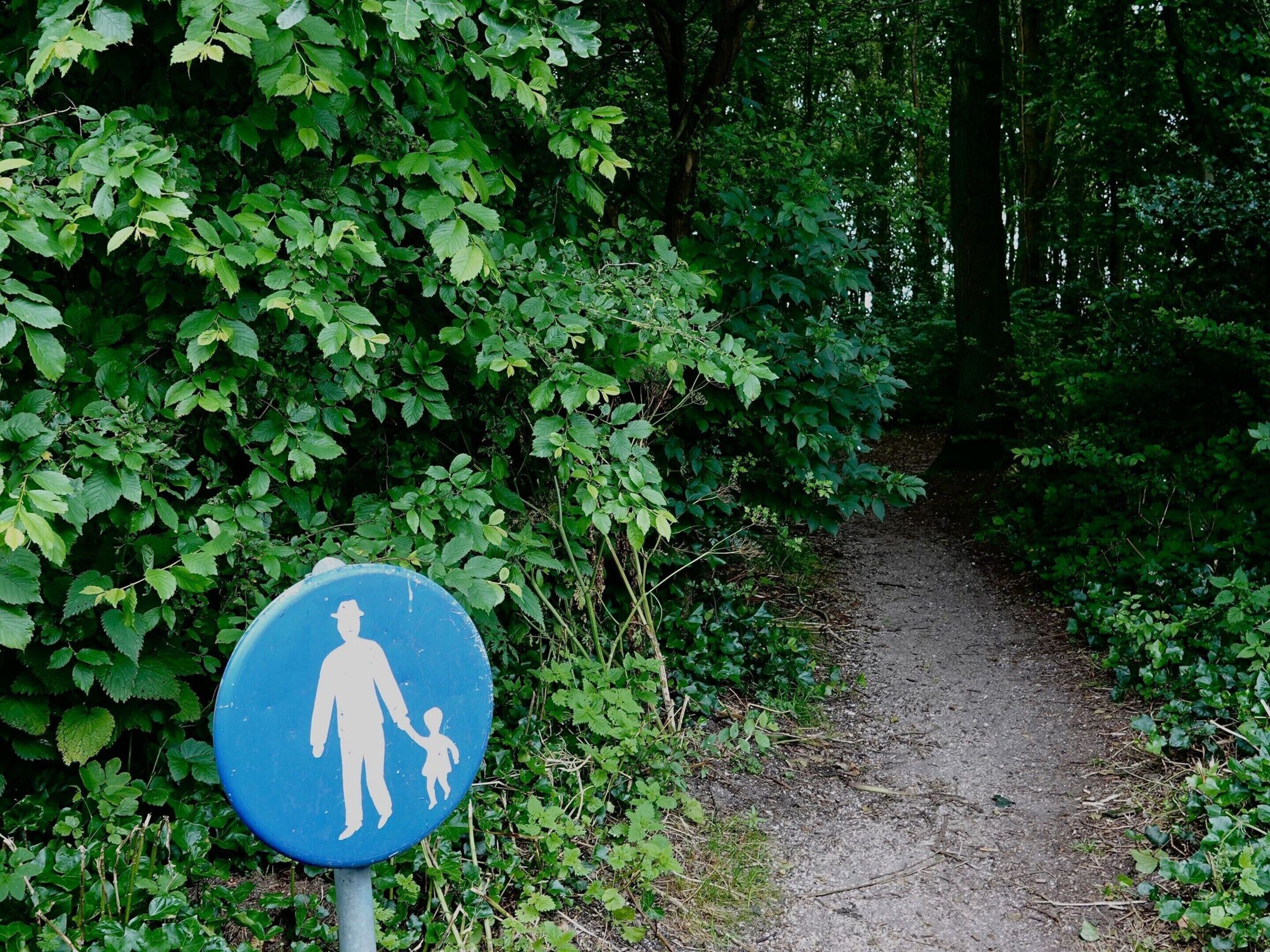 Ein blaues Schild mit der Silhouette einer Person und eines Kindes, die auf einem unbefestigten Weg durch dichtes Grün wandern.