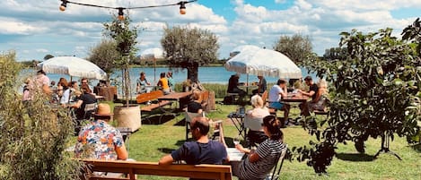 الإطلالة من المنشأة