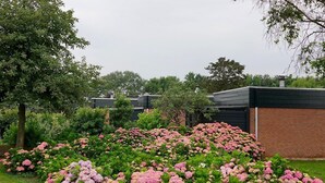 Ein Garten mit rosa Hortensienbüschen, einer Ziegelmauer und einem Metallverteilerkasten.