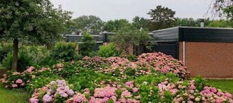 Comfortable Holiday Home in Noordwijkerhout Near the sea