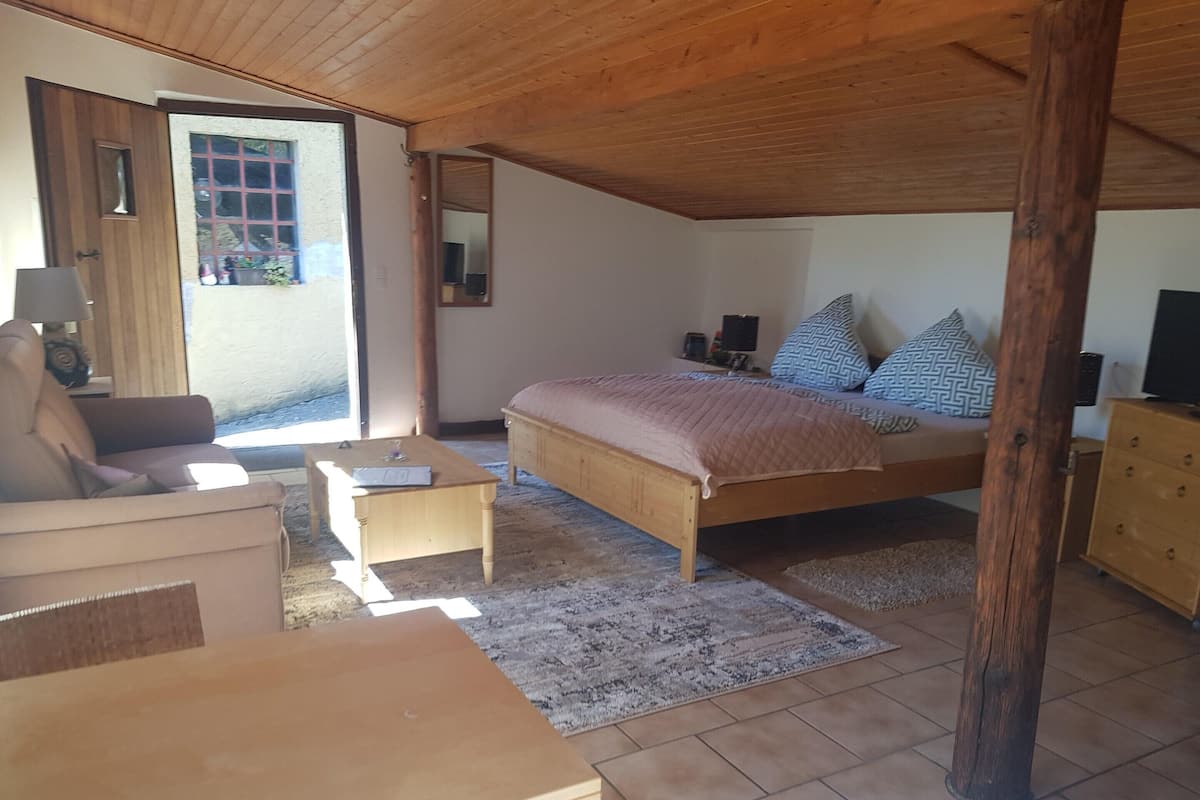 Appartement Classique, 1 chambre | Salle de séjour | Cheminée