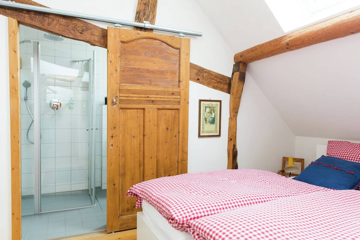 A bedroom with a wooden door, a bed with checkered bedding, a framed picture on the wall, and a skylight above.