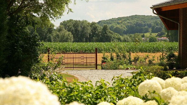 A rural landscape with a gated entrance, a field of crops, and a building with a sloped roof. - Lovely Farmhouse in Wijlre With Forest Nearby (Wijlre)