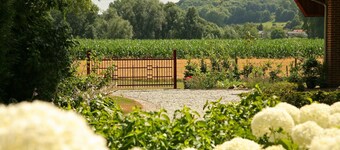 Lovely Farmhouse in Wijlre With Forest Nearby