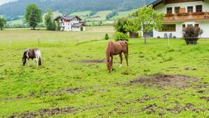 A rural setting with two horses grazing in a fenced field, a large white building with a balcony, and a mountain in the background. - Quietly-located Apartment Near the Center of Radstadt (Radstadt)